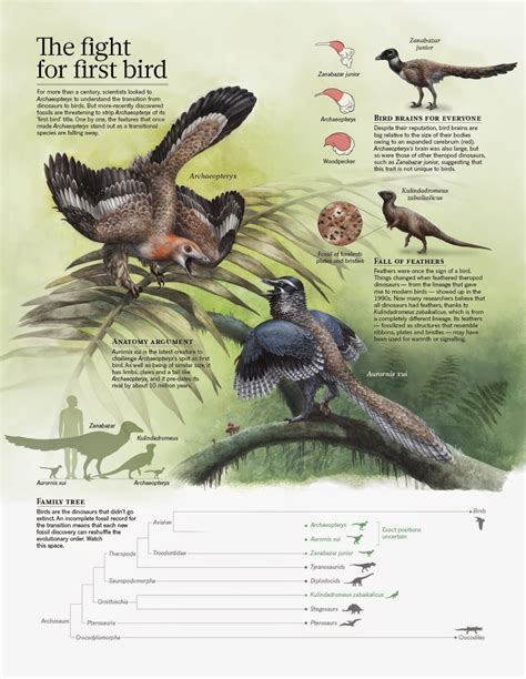 Species New to Science: [Paleontology • 2014] New Specimen of ...