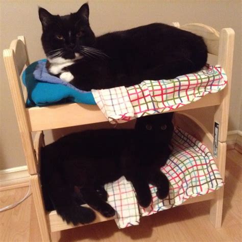 Turn IKEA doll beds into an adorable cat bunk bed - IKEA Hackers