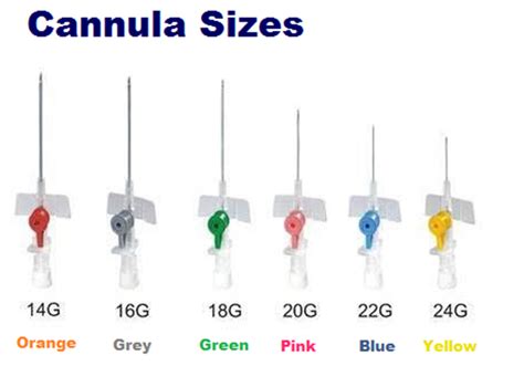 IV CATHETER GAUGE NEEDLE (ABBOCATH) | by Lumen Scientiae | Medium