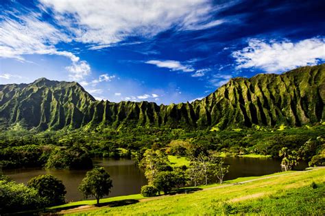 Explore Breathtaking Oahu Botanical Gardens | Hawaii Life Vacations