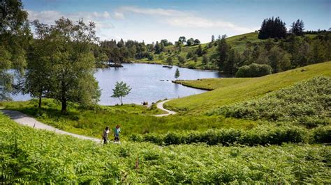 Tarn Hows circular walk | Lake District | National Trust