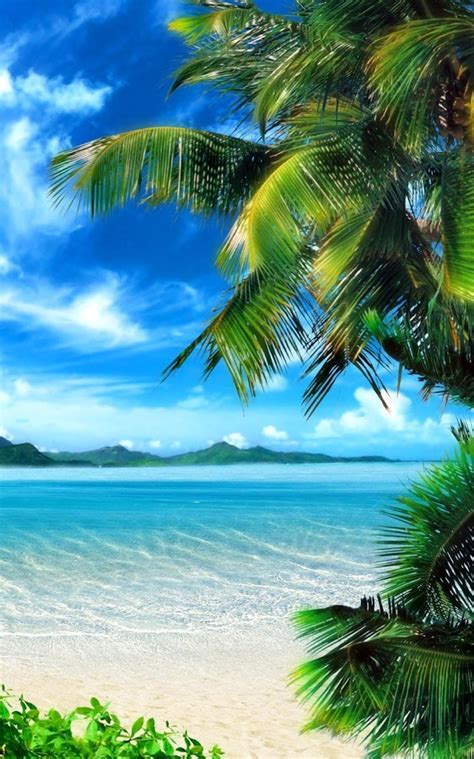 🔥 Free Download Tropical Beach Live Wallpaper Android Apps On Google ...