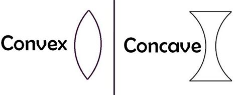 Difference Between Convex and Concave Lens Science Lessons Elementary ...