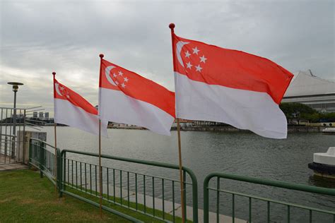 How Singaporeans Can Truly Celebrate National Day Online | Cooler Insights