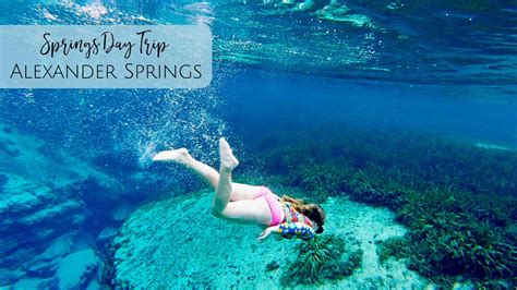 Alexander Springs: Florida Springs Day Trip - Jacksonville Beach Moms