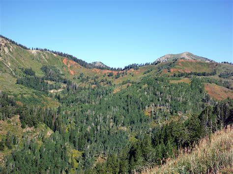 Ravine near Mount Nebo: the Nebo Loop Scenic Byway, Utah