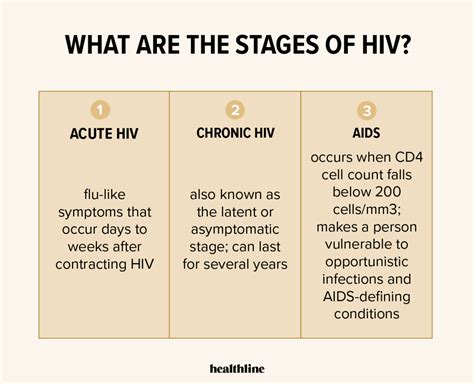 How HIV Affects the Body: HIV Transmission, Disease Progression & More