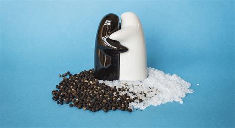 Cute Unique Salt And Pepper Shakers / These make great gifts for anyone ...