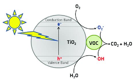 Photocatalytic degradation mechanism. | Download Scientific Diagram