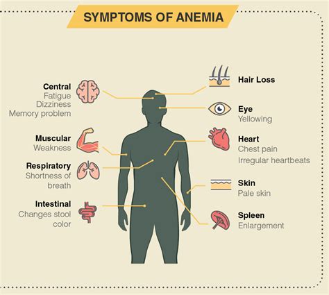 Symptoms Of Anemia In Men