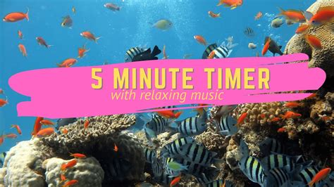 5 Minute Timer with Relaxing Music 2021 - Aquarium - YouTube