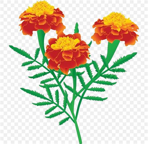 Free Planting Marigolds Cliparts, Download Free Planting Marigolds ...