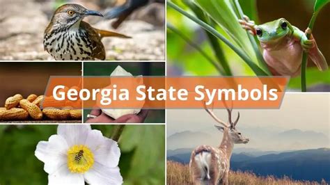 What are the Georgia State Symbols? - Foreign USA