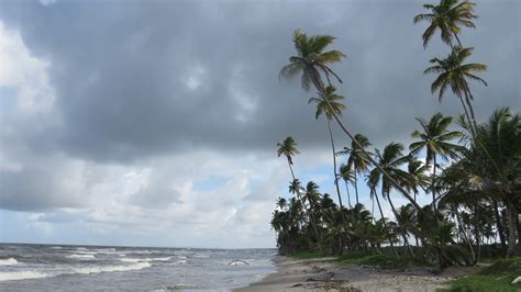 Manzanilla Beach: Destination Trinidad and Tobago | Tours, Holidays ...