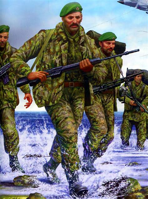 British troops landing in the Falklands | Falklands war, History, War art