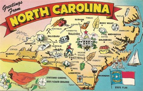 80 North Carolina Facts About The Old North State - Facts.net