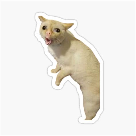 "cat cough meme" Sticker for Sale by Olahetow | Redbubble