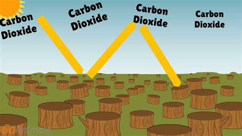 Deforestation Diagram