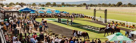 2024 Adelaide Cup tickets and packages - Morphettville