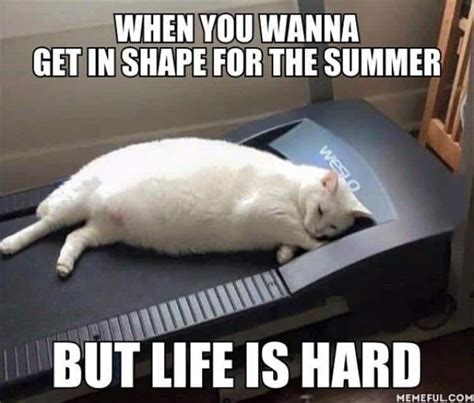 25 Hot And Hilarious Summer Body Meme - SayingImages.com