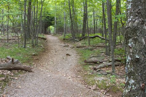 15 Easy Hikes in Shenandoah National Park (With Trail Maps) - Amateur ...