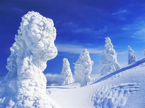 Mt. Zao Snow Monsters, Japan 蔵王山の樹氷 | Flickr - Photo Sharing! Cool ...