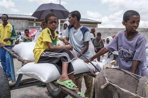 Thousands Of Ethiopians Flee Amhara Violence, Crossing Into Sudan - i24NEWS