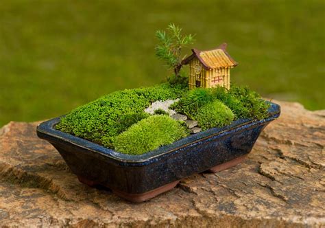 苔と一緒に家で — At home with moss | Moss and Stone Gardens Blog | Садовые ...