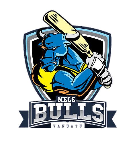 Download Mele Bulls Cricket Team logo transparent PNG - StickPNG