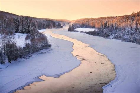 Could climate change make Siberia habitable for humans? — Science Bulletin