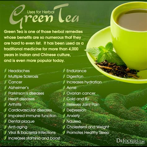 Top 10 Health Benefits of Green Tea - DrJockers.com