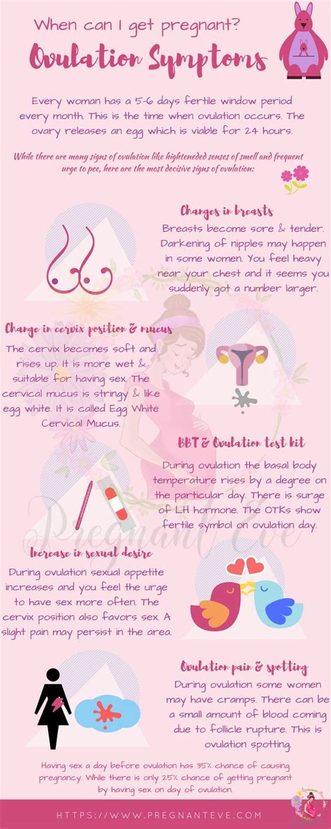 Ovulation Symptoms Top 15 Fertility Signs Every Woman Should Know ...