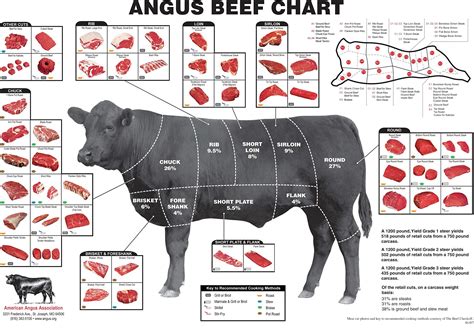 Buy Iconic Arts Angus Beef Cuts Of Meat Butcher Chart 18x24 Online at ...