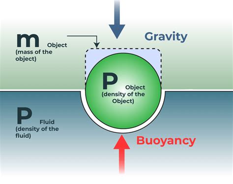 Buoyancy Force Equation