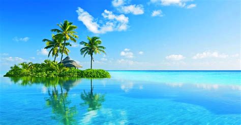 Download Island Palm Tree Horizon Turquoise Sea Ocean Tropical Man Made ...