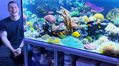 THE BEST REEF TANKS – 2020 Review #saltwater #aquarium #coral ...