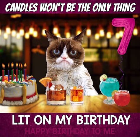 Candles Won’t Be The Only Thing Lit On Grumpy’s Birthday 🎂🎉🍹🍸🍷😹 Grumpy ...