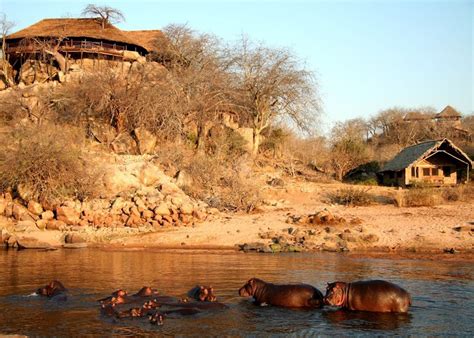 Ruaha River Lodge | Ruaha National Park | Audley Travel