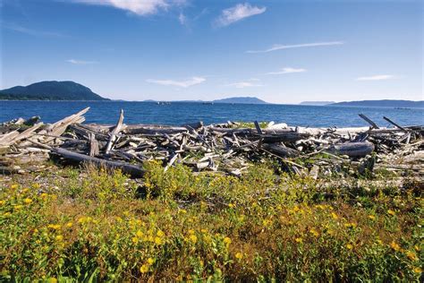 THE 5 BEST Things to Do in Lummi Island (2024)