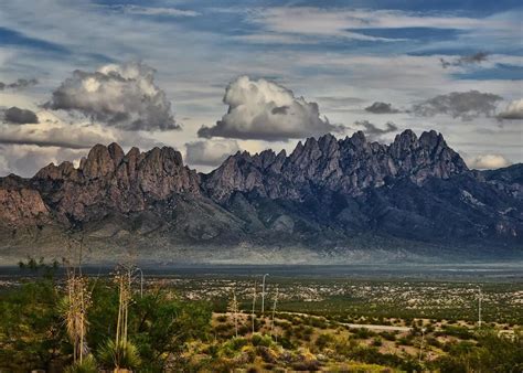 OMDP Visitor Information - Local Las Cruces