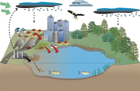 Contaminants in Surface Water of the Mississippi River (U.S. National ...