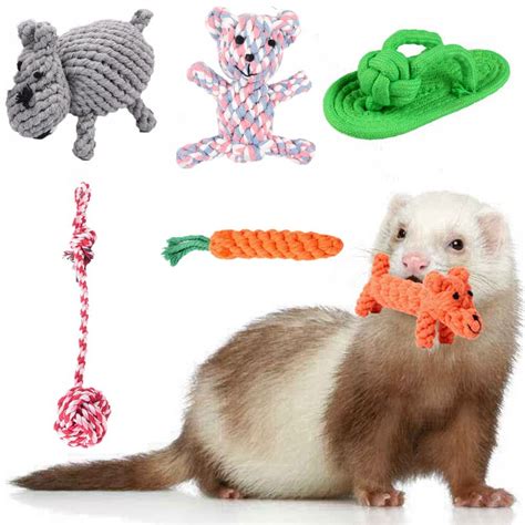 Ferret Chew Toys