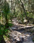 Timucuan Ecological and Historic Preserve | TIMUCUAN TRAIL