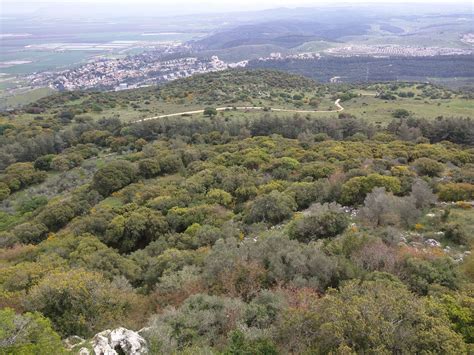 Muhraka Carmelite Monastery, Mount Carmel National Park next to Haifa ...