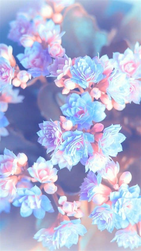 Colorful Flowers Wallpaper Aesthetic / Pastel Flower Wallpapers Top ...