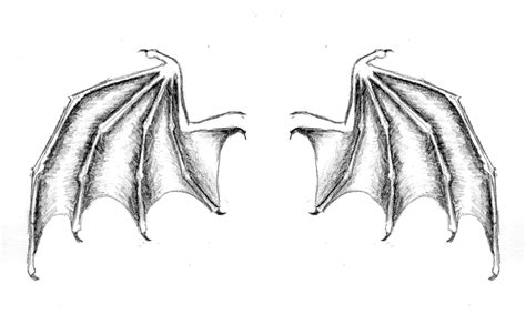 simple bat wing drawing - He Has A Great Site Pictures