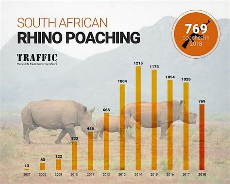 South Africa: national rhino poaching tally falls for fifth year ...