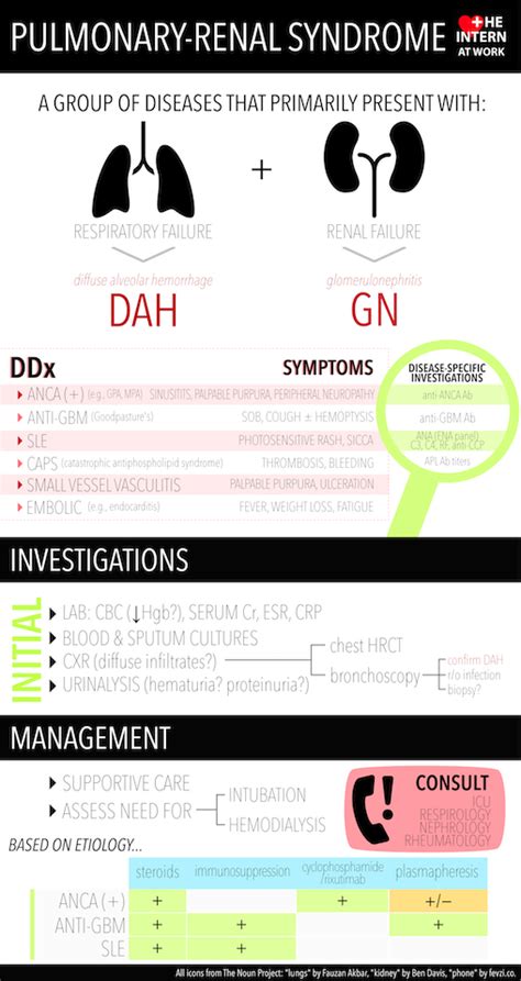 Ask a Fellow: Pulmonary Renal Syndrome — The Intern at Work