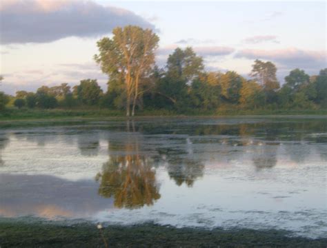 Pond Reflection by Wheaton07 on DeviantArt