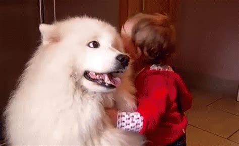 Popular Hugs! GIF - Dogs Babies Friends - Discover & Share GIFs